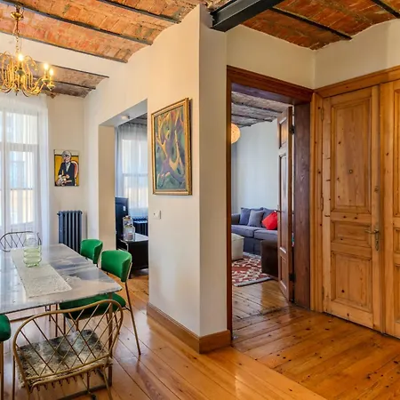 公寓 Historic Spacious Galata