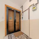Historic Spacious Galata Apartment *